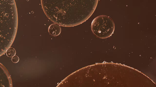 Guide to Caring Image