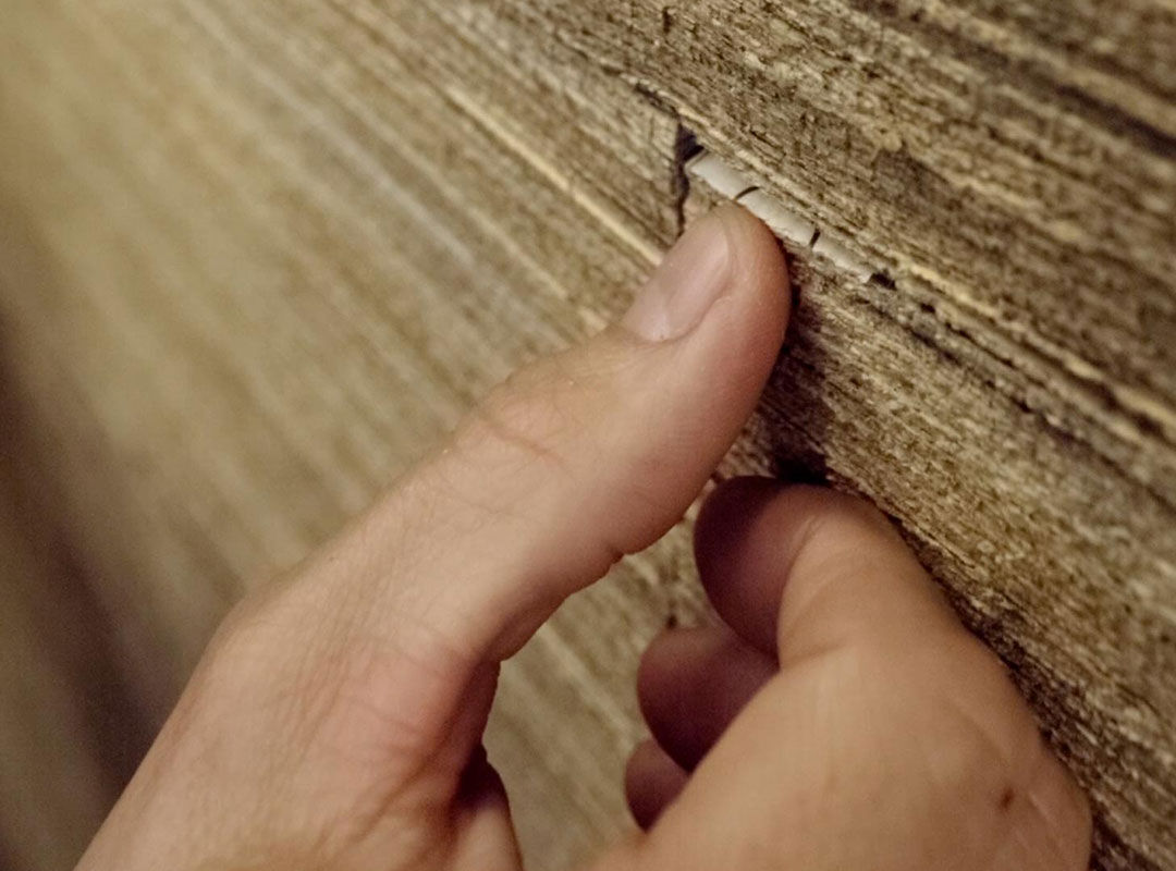 피부 타입 소개 이미지