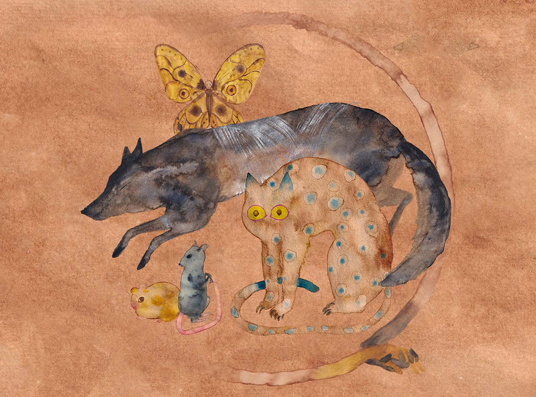 미래의 우화 이미지