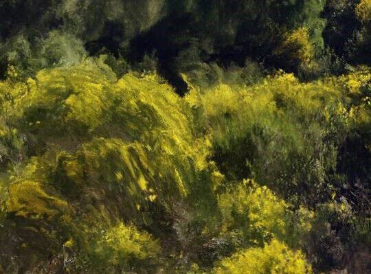 아더토피아 이미지