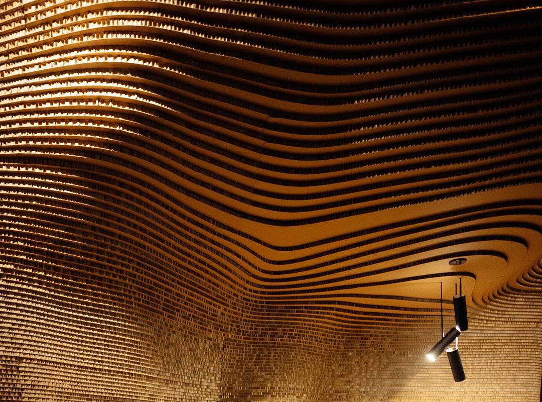 피부의 해부학과 생리학 이미지