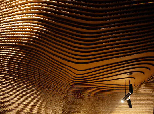 The anatomy and physiology of the skin Image