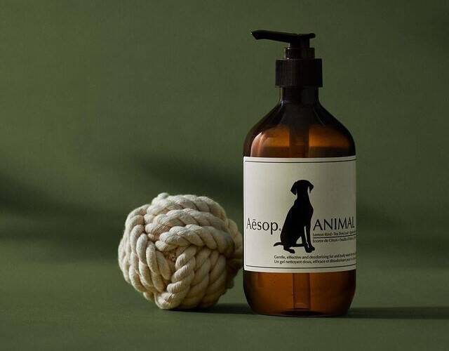 탈취제 & 반려동물