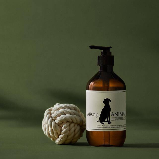 Bathroom Deodorisers & Pets