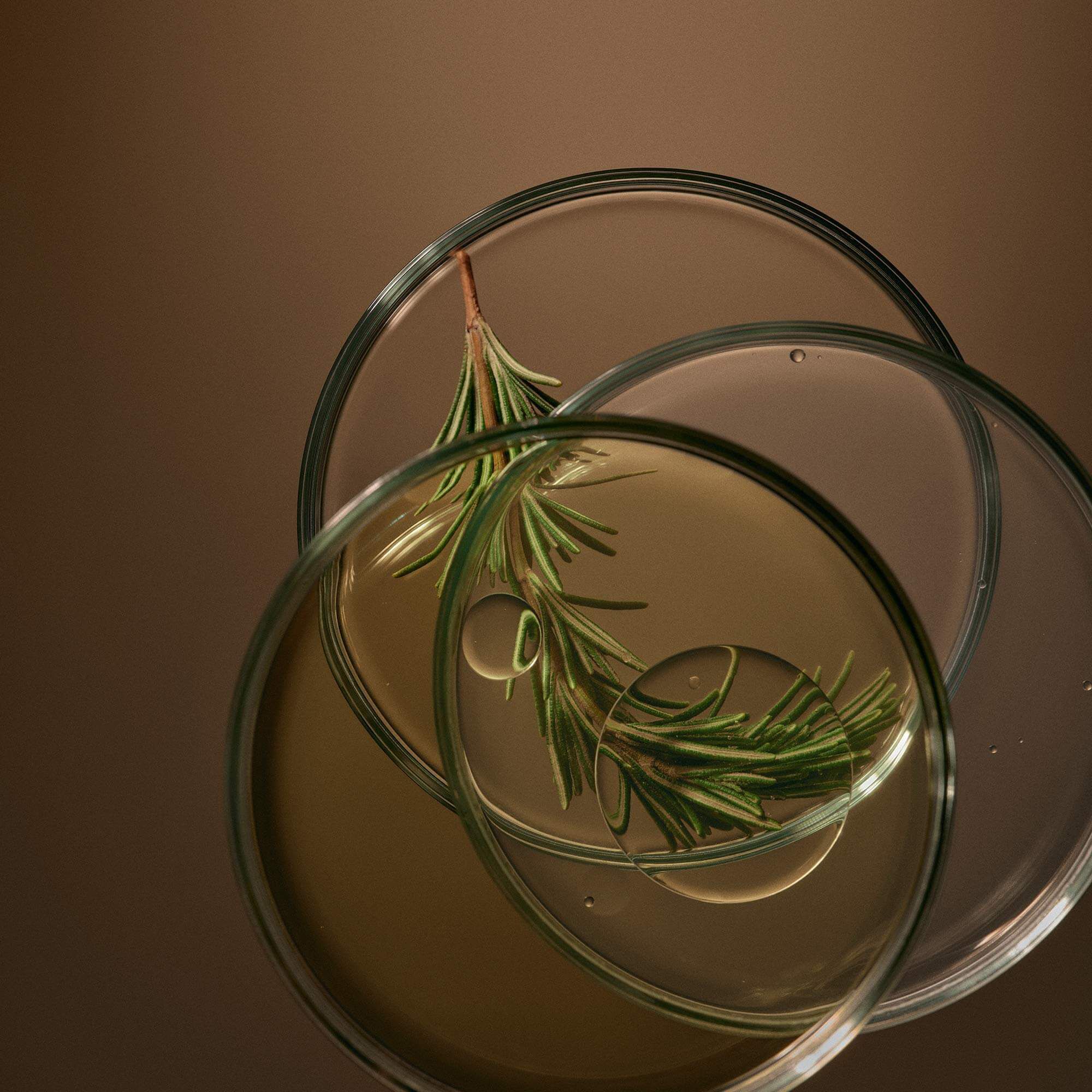 루센트 페이셜 나이트 마스크