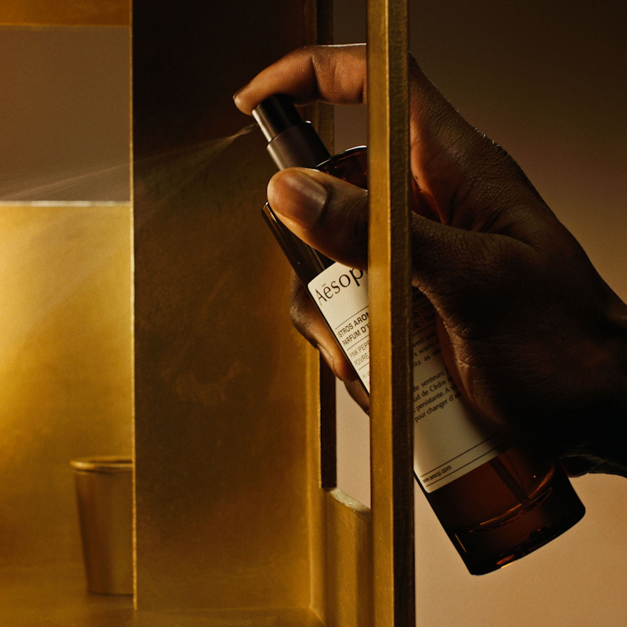 디그니티 인 더 래버토리