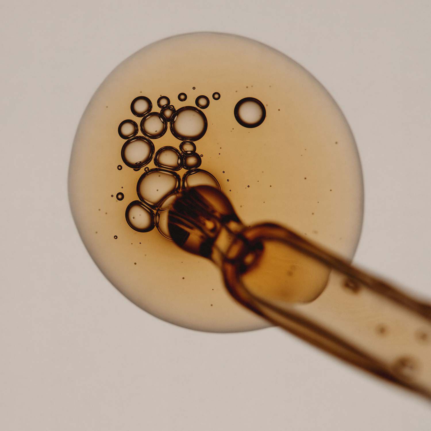 파슬리 씨드 안티 옥시던트 인텐스 세럼