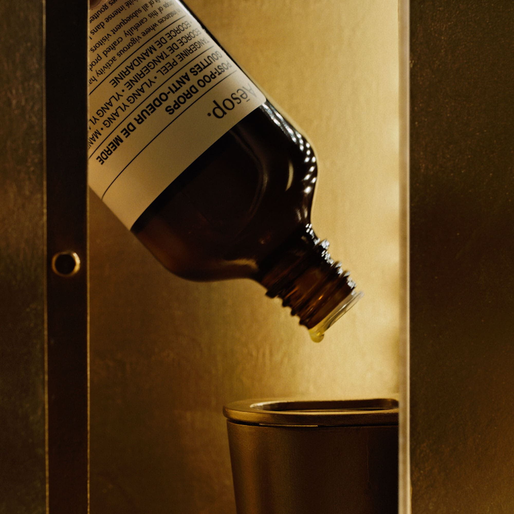 디그니티 인 더 래버토리