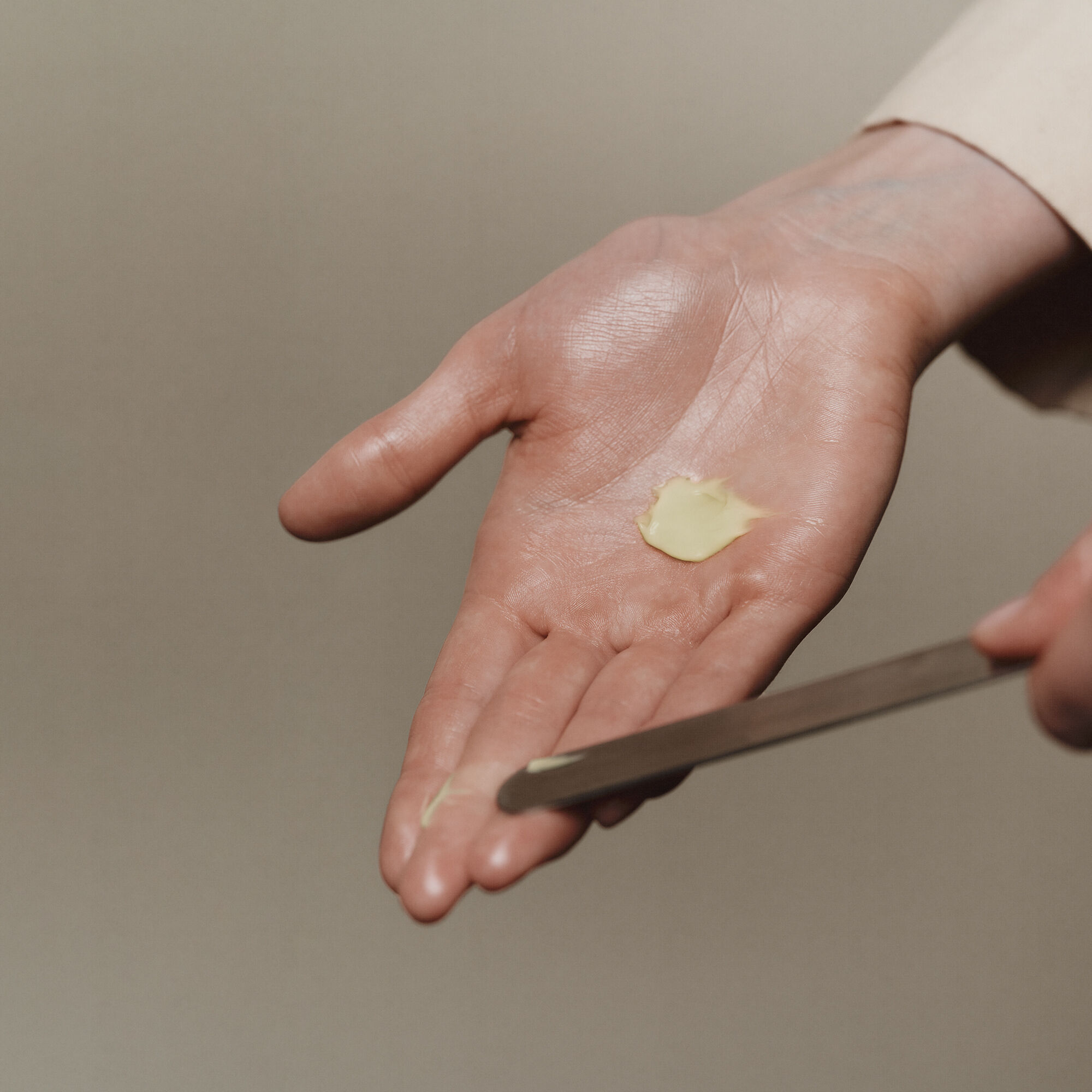 카멜리아 너트 페이셜 하이드레이팅 크림