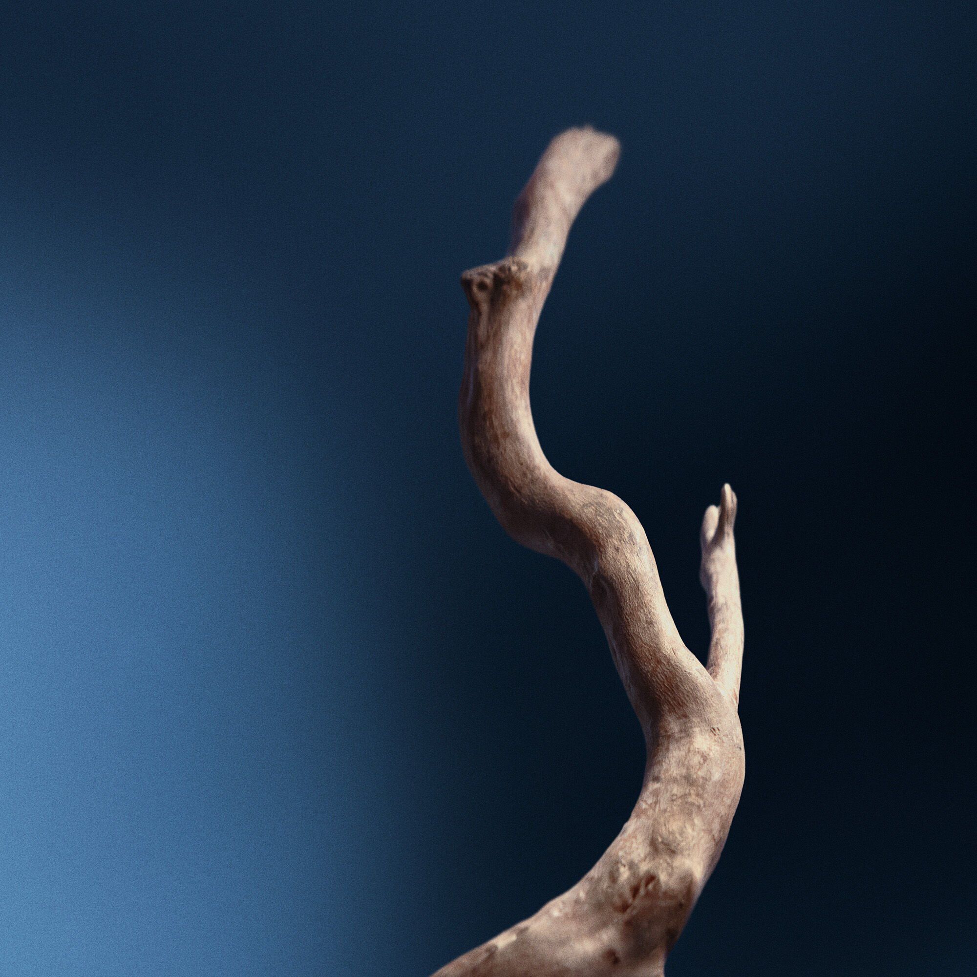 레졸루트 페이셜 컨센트레이트