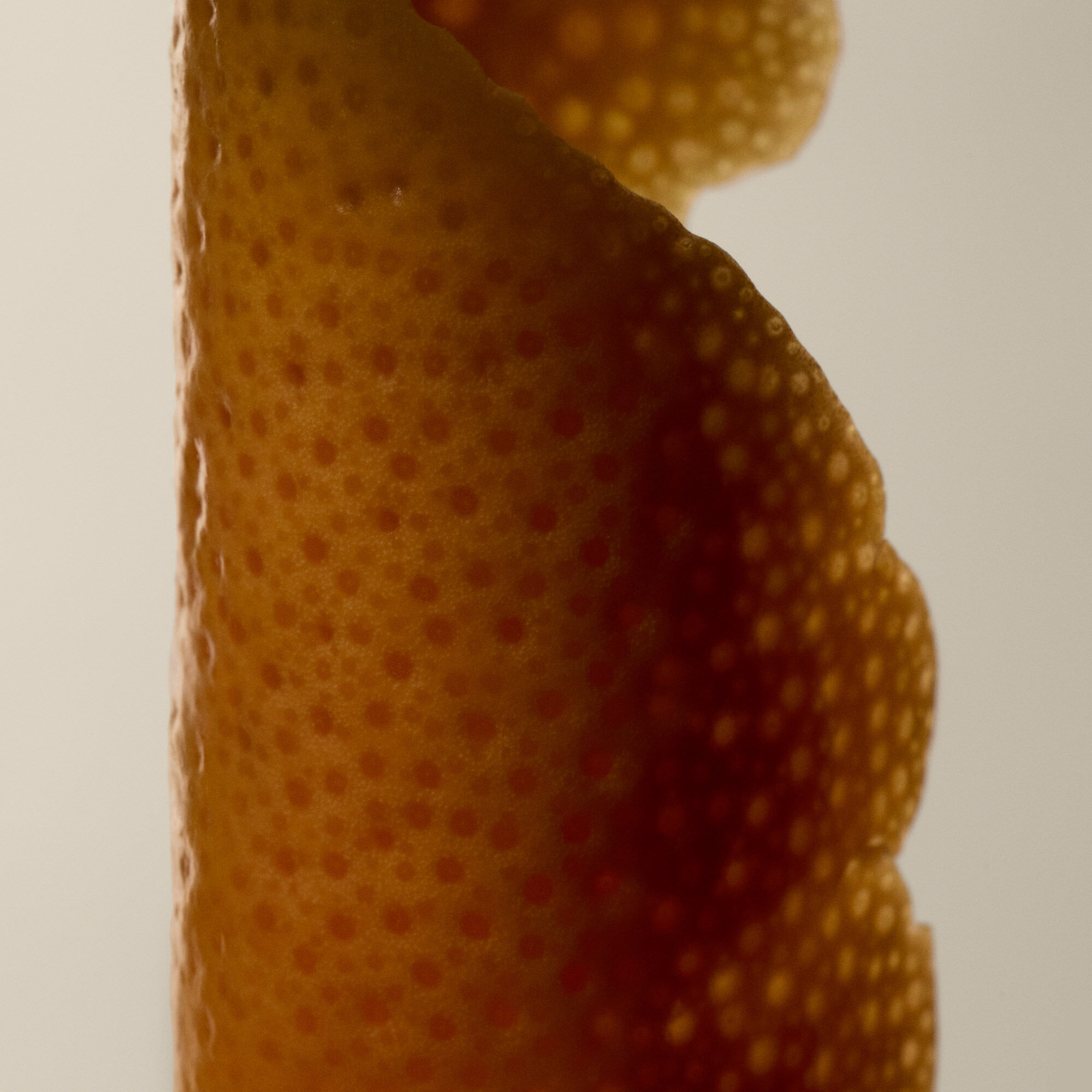 시트러스 멜란지 바디 클렌저