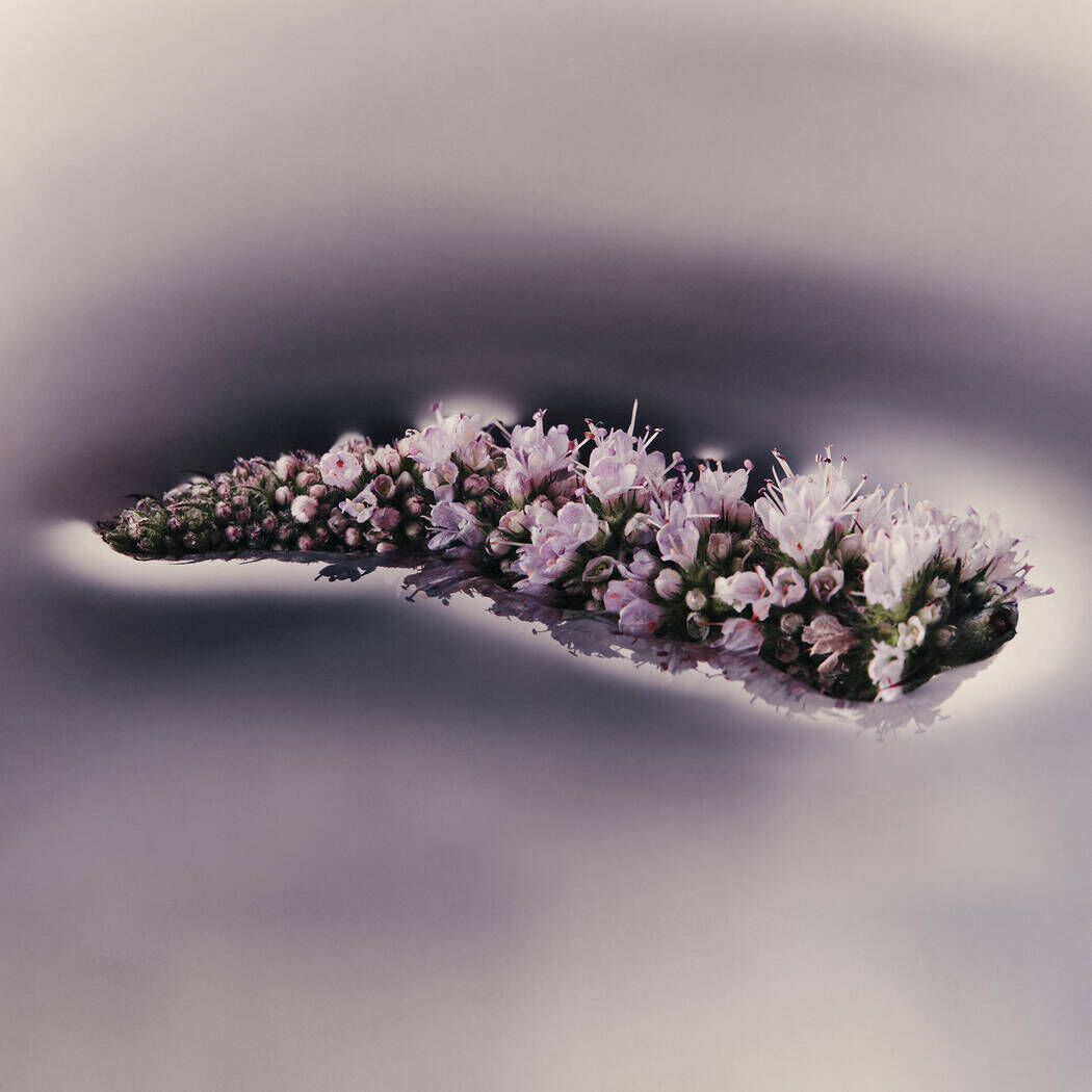 엘레오스 너리싱 바디 클렌저