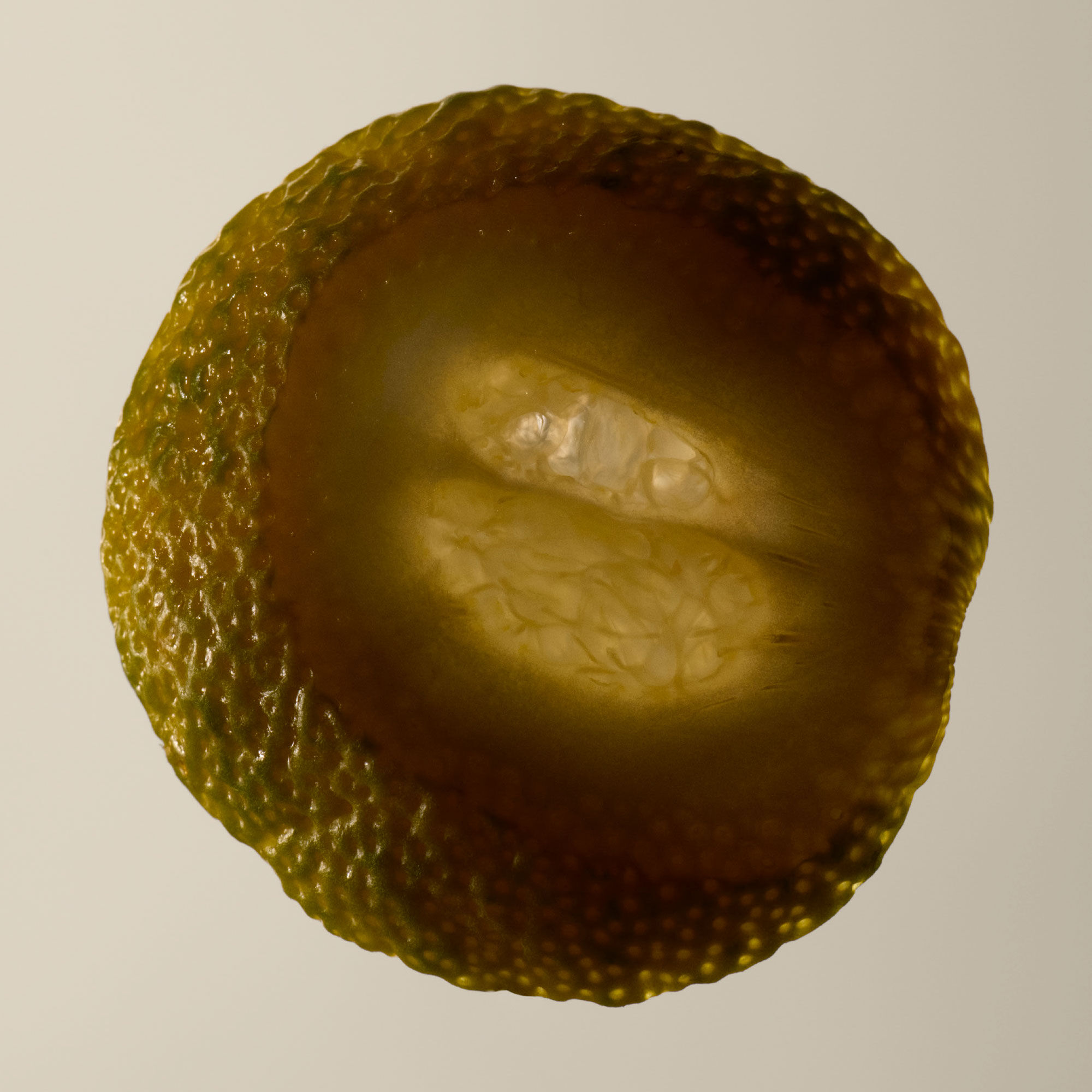 테싯 오 드 퍼퓸