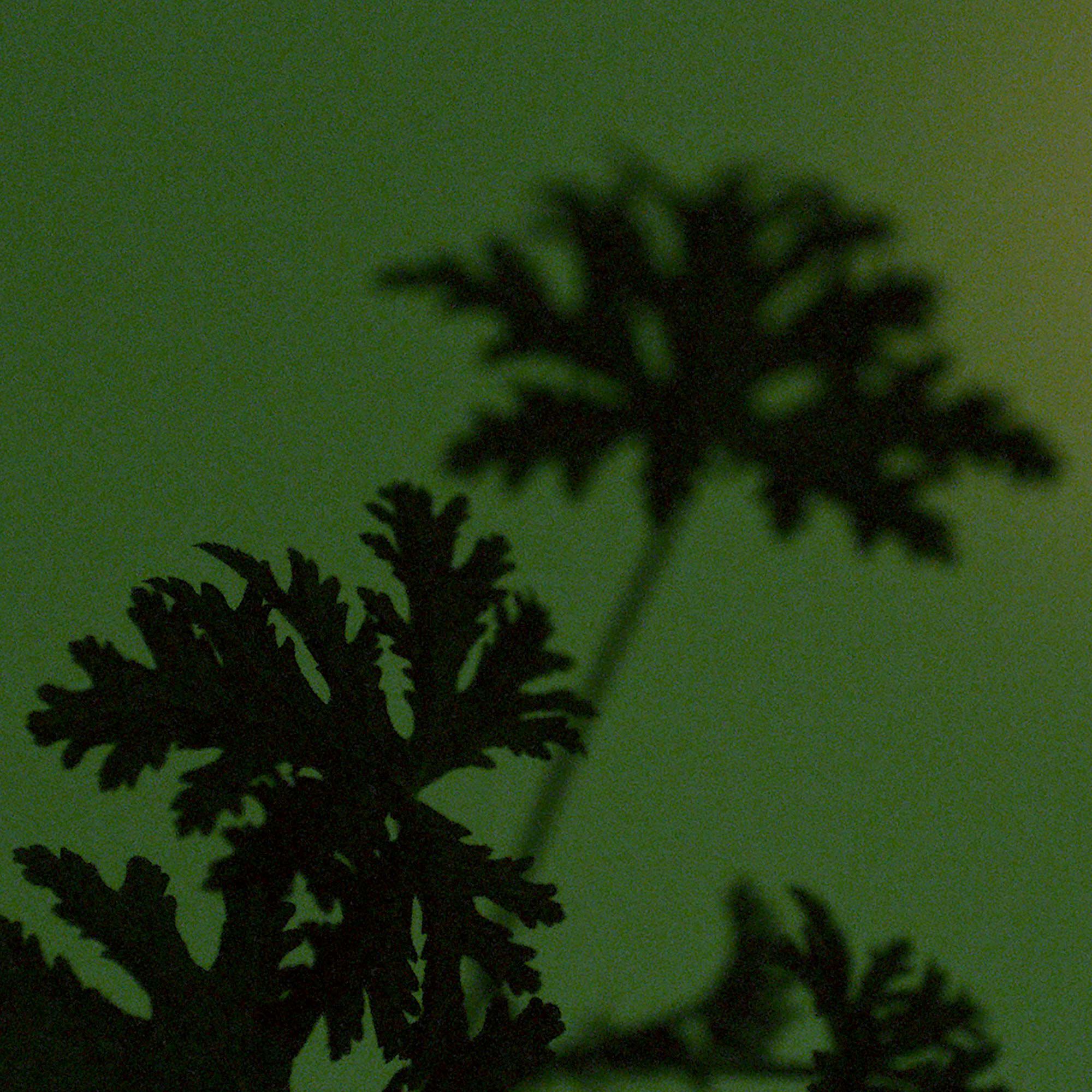 파티 인 더 그린하우스