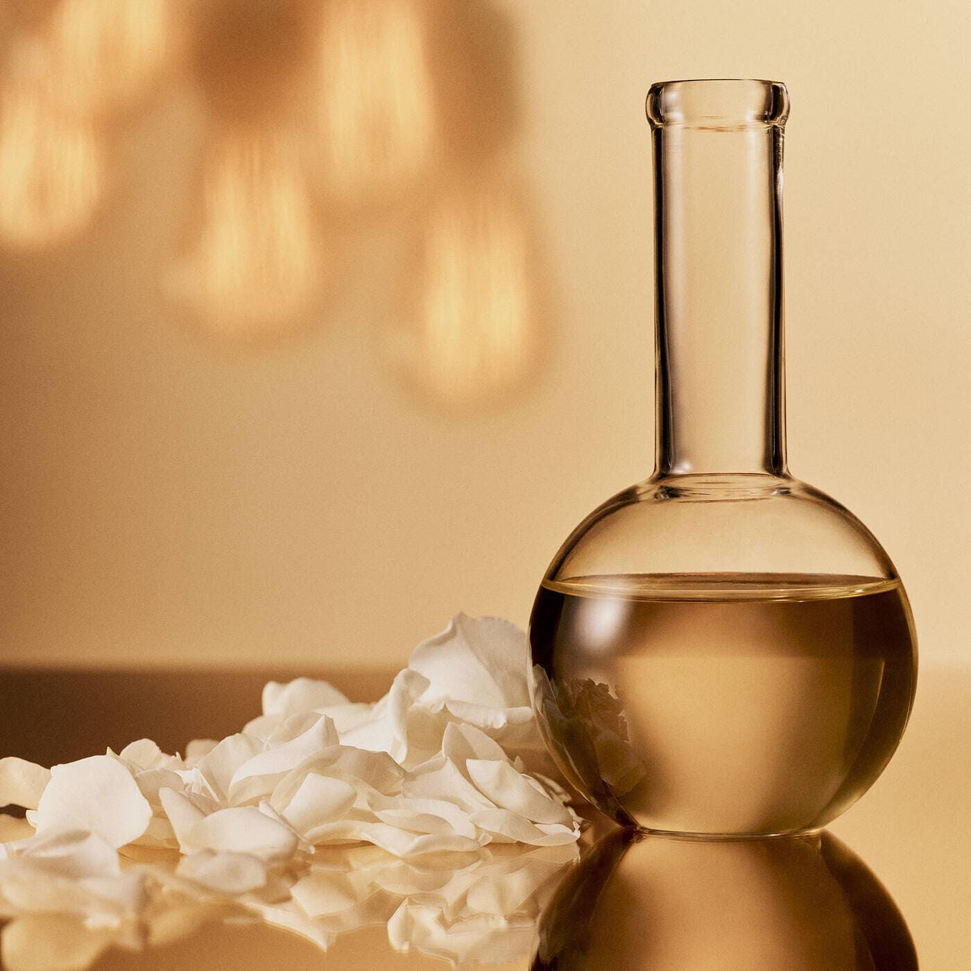 루센트 페이셜 컨센트레이트