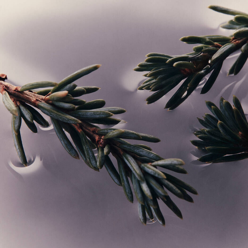 엘레오스 너리싱 바디 클렌저