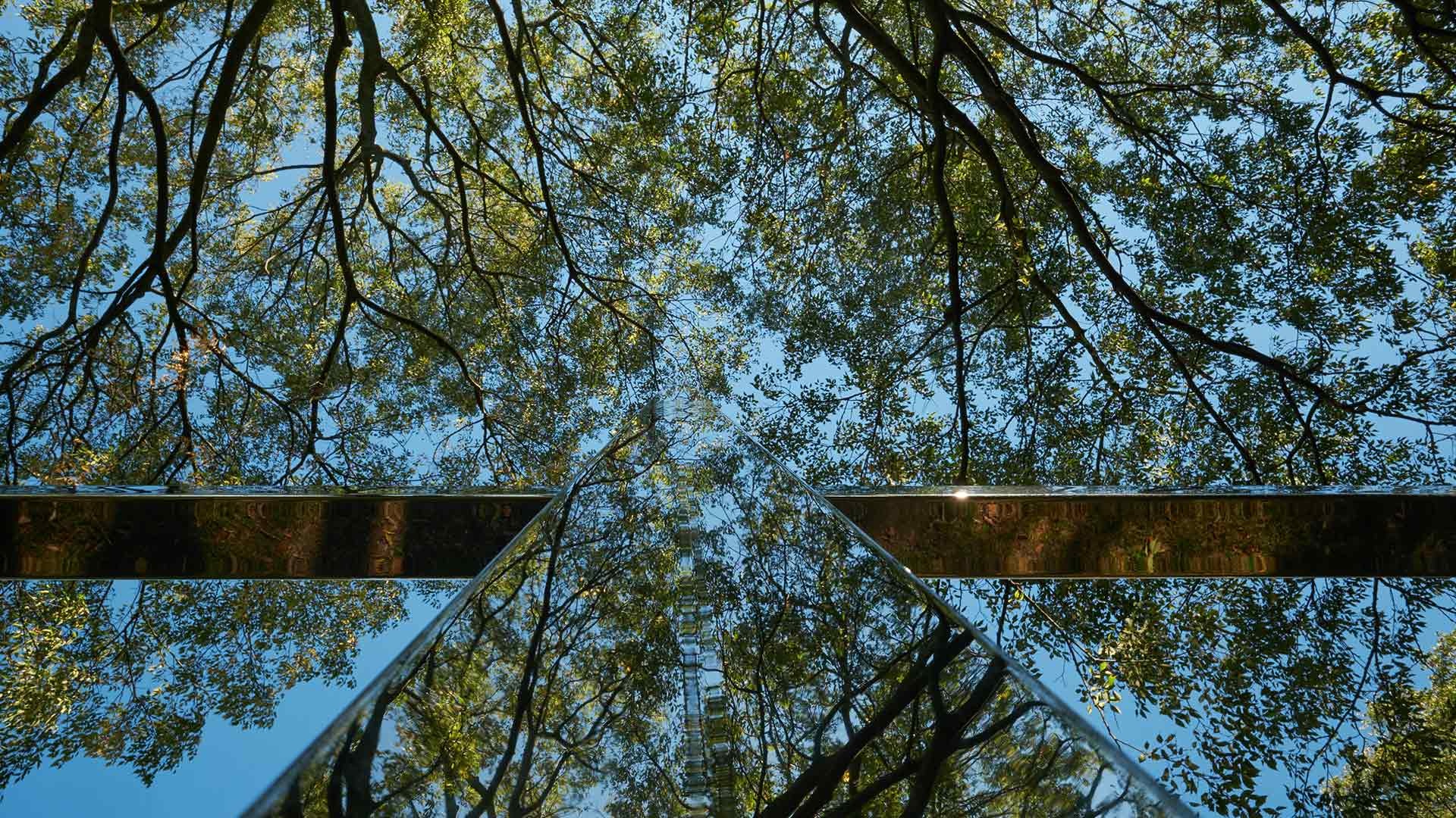 The Met Symposium thumbnail